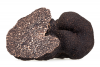 Trufa Negra
