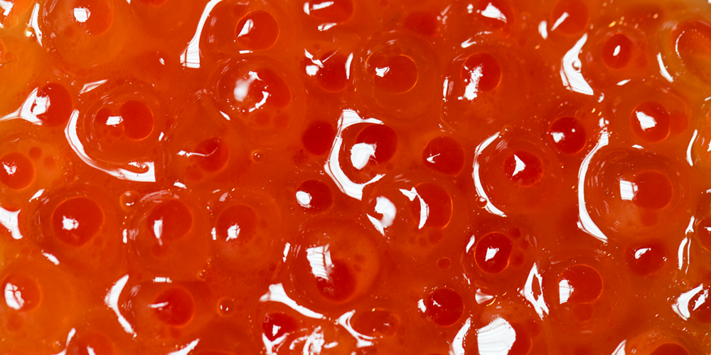 Huevas de salmón